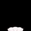 Holmegaard Lily Isasjett Ø16 cm cherry blossom 2 stk.